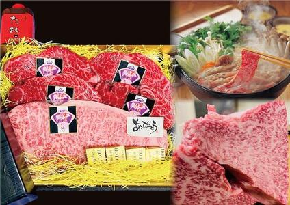 【AB773】長崎和牛 出島ばらいろ ３回定期便 《レギュラータイプF》