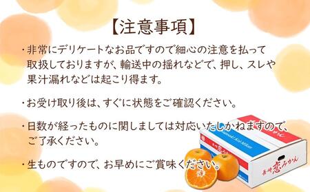 長崎恋みかん 5kg＜期間限定／先行予約＞【2024年11月中旬以降順次発送】