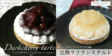 【人気の8種を食べ比べ】平戸産全粒粉小麦配合 8種のパーティーアソート / 心優-CotoyuSweets-