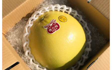 【年6回定期便】熊本県産フルーツB(偶数月発送)	