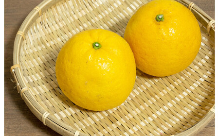 【年6回定期便】熊本県産フルーツB(偶数月発送)	