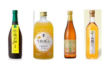 【年6回定期便】熊本の魅力を12本のお酒で味わう『贅沢なリキュールの宝石箱』