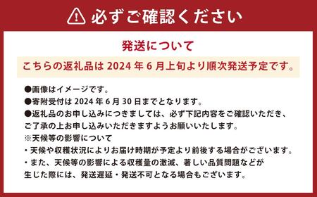 【2024年6月上旬発送開始】熊本県産スイートコーン ミルキースイーツ 約5kg