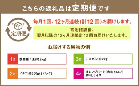 【12か月連続定期便】熊本の旬のフルーツお届け便 (Aコース)