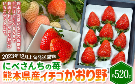 2023年12月上旬発送開始】にべさんちの苺 熊本県産イチゴかおり野 約