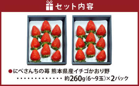 2023年12月上旬発送開始】にべさんちの苺 熊本県産イチゴかおり野 約