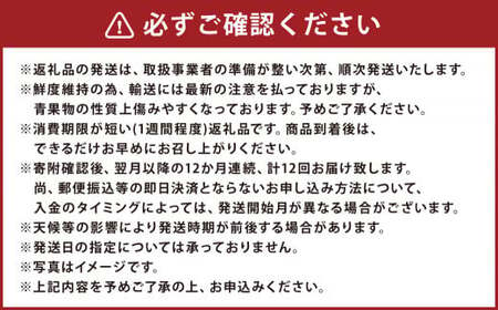 【12ヶ月定期便】熊本県フルーツ 12ヶ月定期便