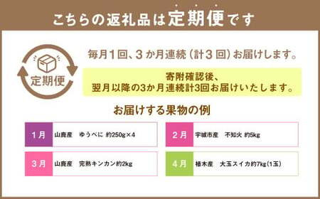 【3ヶ月定期便】熊本県フルーツ3ヶ月定期便