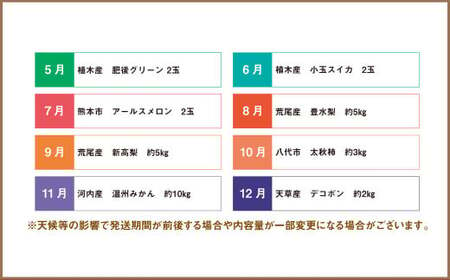 【3ヶ月定期便】熊本県フルーツ3ヶ月定期便