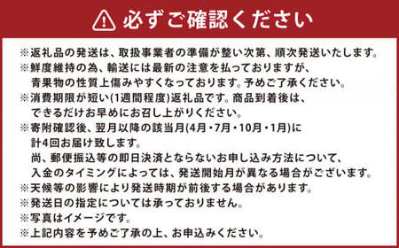 【年4回定期便】熊本県人気フルーツ4回定期便