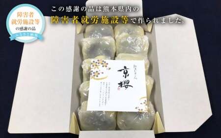 いきなり団子 約10個(1kg～1.3kg) 特産品 グルメ さつまいも 芋 あんこ 和菓子 おやつ お取り寄せ 名物