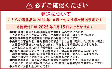 【2024年10月上旬発送開始】熊本県産みかん BUSAIKU MIKAN 3kg