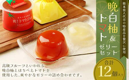 熊本八代ゼリーセット 12個入り 晩白柚ゼリー トマトジュレ フルーツゼリー スイーツ デザート