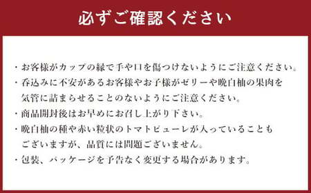 熊本八代ゼリーセット 12個入り 晩白柚ゼリー トマトジュレ フルーツゼリー スイーツ デザート