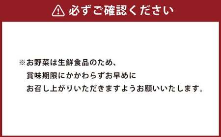 阿蘇の恵みセットC 季節の野菜や果物5～7品 ベーコン ハム ソーセージ ヨーグルト 牛乳