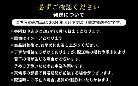 熊本県産 シャインマスカット 約1.7kg以上（2～4房） 果物 くだもの フルーツ ぶどう おやつ 果実 熊本県産 国産 【2024年8月下旬発送開始】