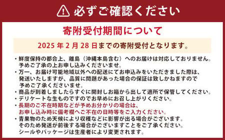 熊本県産 高級 塩トマト 「綾」 1キロ前後 野菜 とまと 【2025年1月下旬発送開始】