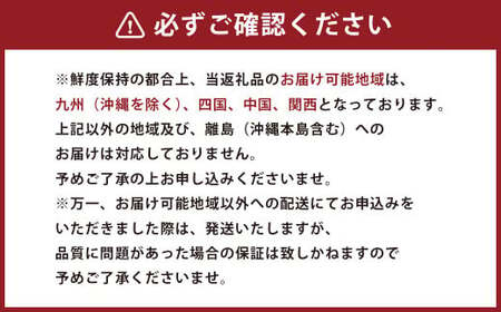  熊本県産 苺 旬の品種 （2種） 約1.5キロ 前後 いちご イチゴ フルーツ 果物 【2025年3月上旬発送開始】