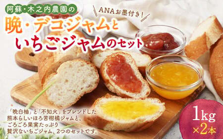 阿蘇 木之内農園の 晩・デコジャム  と いちごジャム セット 各1kg 合計2kg 2種 ジャム 柑橘 みかん 蜜柑 不知火 晩白柚 いちご 苺