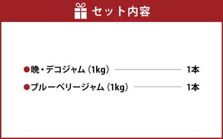阿蘇 木之内農園の 晩・デコジャム と ブルーベリージャム セット 各1kg 合計2kg 2種 ジャム 柑橘 みかん 蜜柑 不知火 晩白柚 ブルーベリー