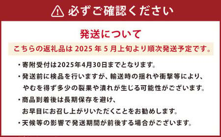 蘇鉄嶋 （ 桃太郎トマト ） 約1kg とまと トマト やさい 野菜 国産  【2025年5月上旬発送開始】