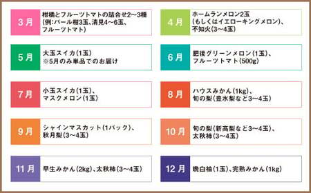 【12か月連続定期便】熊本便り！旬のフルーツ 詰め合わせ 定期便 くだもの 果物 フルーツ 熊本県産 国産