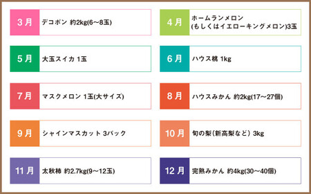 【12か月連続定期便】熊本便り！ 旬のフルーツ 単品定期便 くだもの 果物 フルーツ 熊本県産 国産