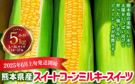 熊本県産 スイートコーン ミルキースイーツ 約5kg とうもろこし やさい 野菜 トウモロコシ 【2025年6月上旬発送開始】