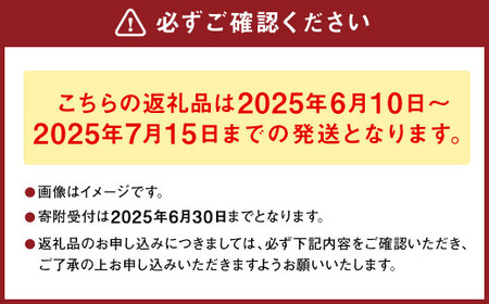 熊本県産 スイートコーン ミルキースイーツ 約5kg とうもろこし やさい 野菜 トウモロコシ 【2025年6月上旬発送開始】