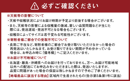 熊本県産 スイートコーン ミルキースイーツ 約5kg とうもろこし やさい 野菜 トウモロコシ 【2025年6月上旬発送開始】