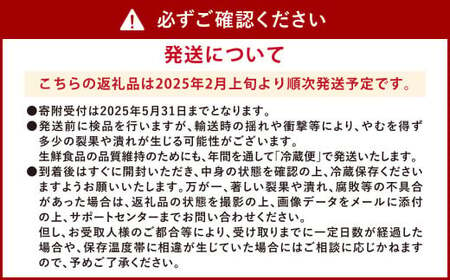 ソムリエ トマト  4kg × 2箱 合計8kg とまと トマト 野菜 やさい 熊本県産 国産 【2025年2月上旬発送開始】