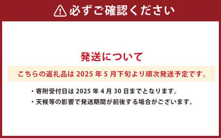 熊本県産 マンゴー 4玉 計約2kg フルーツ 果物 くだもの 熊本県産 【2025年5月下旬発送開始】