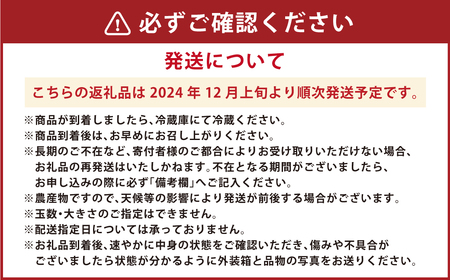 絢音ベリー農園 恋みのり いちご 1kg （ 250g × 4パック ） 【2024年12月上旬発送開始】 先行予約 熊本県 高級 フルーツ ギフト 厳選 希少 果物