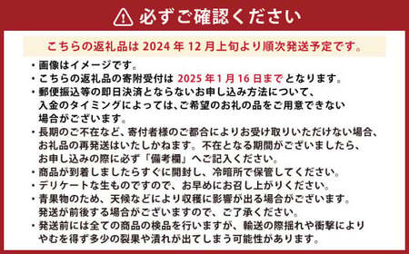 【2024年12月上旬発送開始】熊本県産 ハウス デコポン 約5kg 蜜柑 みかん 柑橘 果物 くだもの フルーツ