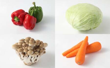 熊本県産 野菜 の 詰め合わせ 8品以上 やさい 季節の野菜 詰合せ 国産