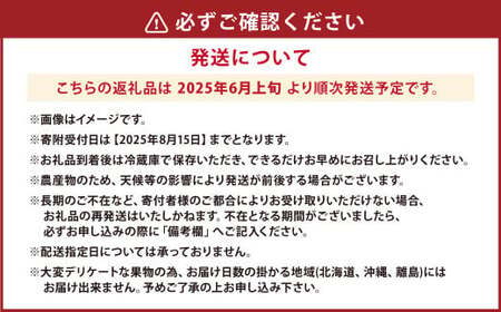 ハウスイチジク 約1kg （約250g×4パック）【2025年6月上旬発送開始】 果物 フルーツ いちじく イチジク 旬 旬の果物 旬のフルーツ 熊本県 合同会社宝ファーム