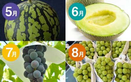 【12か月連続定期便】熊本の旬のフルーツお届け便 （Aコース） フルーツ 果物 くだもの 晩白柚 苺 デコポン みかん 柑橘 蜜柑 メロン すいか メロン シャインマスカット 葡萄 ぶどう 栗 太秋柿 柿 定期便