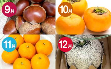 【12か月連続定期便】熊本の旬のフルーツお届け便 （Aコース） フルーツ 果物 くだもの 晩白柚 苺 デコポン みかん 柑橘 蜜柑 メロン すいか メロン シャインマスカット 葡萄 ぶどう 栗 太秋柿 柿 定期便