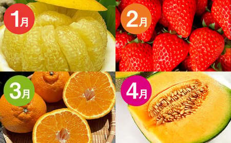 【12か月連続定期便】熊本の旬のフルーツお届け便 （Bコース） フルーツ 果物 くだもの 晩白柚 苺 デコポン みかん 柑橘 蜜柑  メロン すいか  シャインマスカット 葡萄 ぶどう マンゴー 太秋柿  柿 定期便 