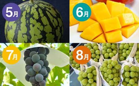【12か月連続定期便】熊本の旬のフルーツお届け便 （Bコース） フルーツ 果物 くだもの 晩白柚 苺 デコポン みかん 柑橘 蜜柑  メロン すいか  シャインマスカット 葡萄 ぶどう マンゴー 太秋柿  柿 定期便 