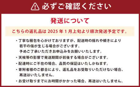 熊本県産 デコポン （4玉）・完熟みかん （1.5kg） セット 【2025年1月上旬発送開始】 果物 フルーツ 柑橘 でこぽん みかん 完熟