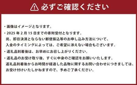 熊本県産 デコポン （4玉）・完熟みかん （1.5kg） セット 【2025年1月上旬発送開始】 果物 フルーツ 柑橘 でこぽん みかん 完熟