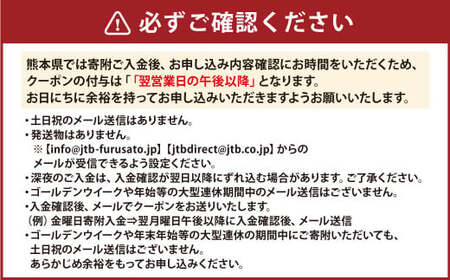 【熊本県】 JTB ふるさと 旅行 クーポン（Eメール発行）15,000円分