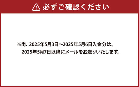 【熊本県】JTB ふるさと 旅行 クーポン（Eメール発行） 30,000円分