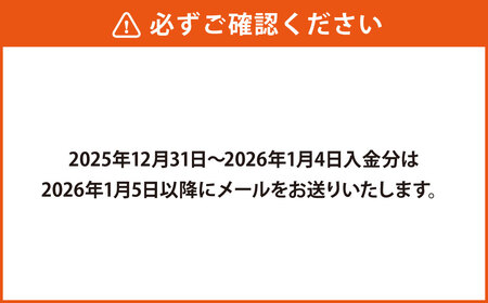【熊本県】 JTB ふるさと 旅行 クーポン（Eメール発行） 150,000円分