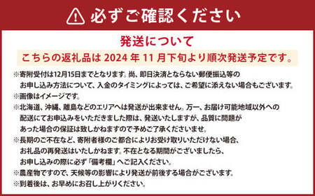 熊本県産 持丸ミカン 約3キロ 【2024年11月下旬発送開始】 蜜柑 みかん ミカン 柑橘 フルーツ くだもの 果物 国産