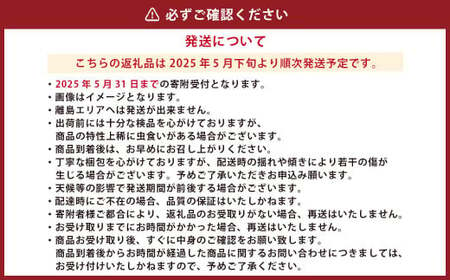 熊本県産 スイートコーン 4～5本 と フルーツトマト 約1kg  【2025年5月下旬発送開始】 野菜 やさい トウモロコシ とうもろこし コーン とまと トマト 国産