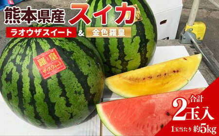 金色羅皇 こんじきらおう 2玉入り 大玉 すいか 入荷次第発送