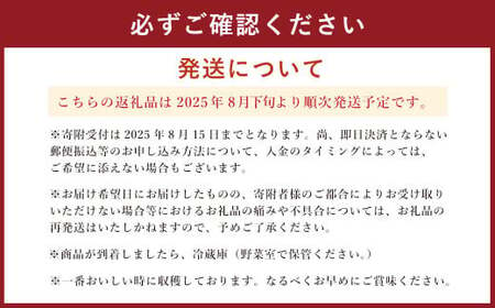 熊本県産 シャインマスカット 2房 約1.2kg前後 マスカット フルーツ 果物 【2025年8月下旬発送開始】