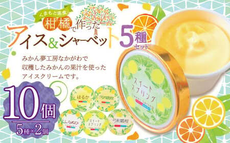 熊本県産柑橘で作ったアイス＆シャーベット5種セット（全10個） スイーツ デザート アイス アイスクリーム シャーベット 弓削瓢柑 ひょう柑 スイートスプリング はるか 不知火 河内晩柑 蜜柑 ミカン 贈り物 ギフト 贈答 お中元 お歳暮